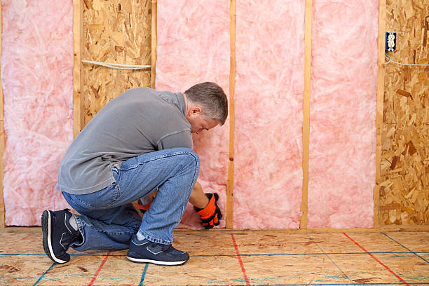 Best Cellulose Insulation in Concordia, KS